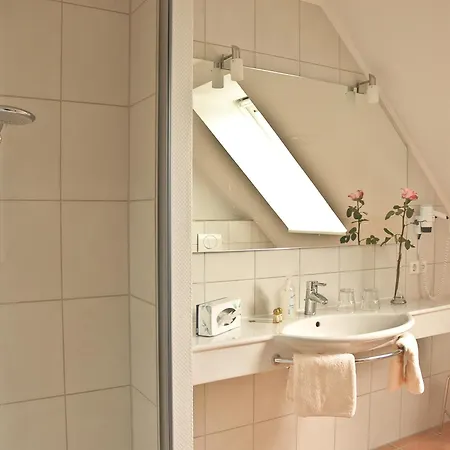 호텔 Land-gut-hotel Restaurant Kreuz Meyer 3*